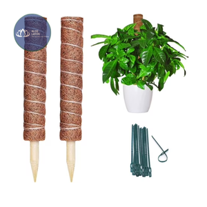 BEST SELLING Poteau en fibre de coco écologique de qualité supérieure – Support végétal naturel et jetable - Product Image 1