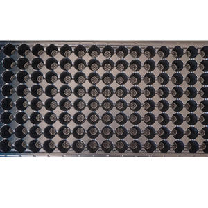 Bandejas Reutilizables de 72 Celdas para Semillas de Hortalizas y Flores en Invernadero - Product Image 5