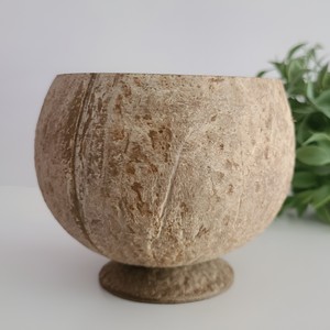 Vasos de helado hechos de cáscaras de coco, de gran calidad, con etiqueta de marca impresa personalizada. - Product Image 3