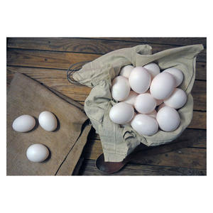 Fournisseur en gros d'œufs de poule frais blancs, production fiable d'une ferme avicole - Product Image 4
