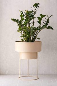 Minimalist <b>Terracotta</b> Flower <b>Pot</b> With Brass Metal Stand Indoor Plant Planter For Desktop Use Glazed Finish - Product Image 2