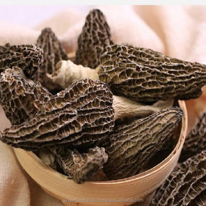 Wholesale Supplier of Morels From India - Product Image 4