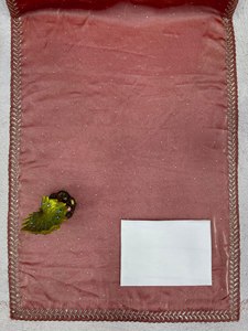 Reglance Pure Soft Zimmy Choo Saree en soie avec broderie de sequins et de diamants, bordure Aarco, et chemisier en soie mono Banglori lourd, pour tenue de soirée, séchage rapide - Product Image 3