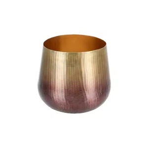 Maceta Metálica Elegante, Decorativa, para Plantas de Interior y Exterior, Contenedor para Flores, Decoración para Hogar, Jardín y Balcón - Product Image 4