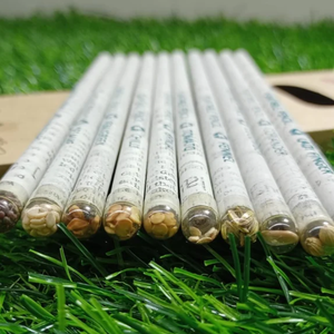 Caja de tubos redondos para lápices con semillas Carnival, suministro a granel, lápiz ecológico plantable con cápsulas de semillas surtidas a precio mayorista - Product Image 2