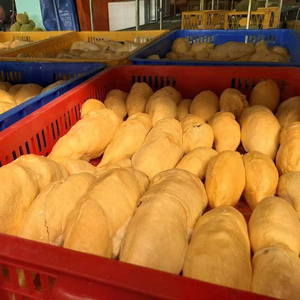 Durian Congelado de Vietnam en Oferta - Disponible con Marca Privada OEM - Product Image 1