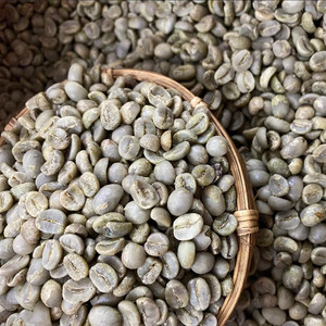 High Quality Specialty Arabica Green <b>Coffee</b> <b>Beans</b> S18 from Vietnam, USDA Certified, Direct Export Supplier, MOQ Flexible - Product Image 1