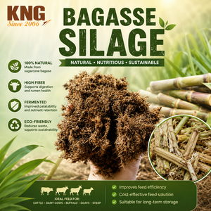 Alimento fermentado de bagazo de caña de azúcar KNG para ganado, vacas lecheras, búfalos, cabras y ovejas, natural, rico en fibra y ecológico. - Product Image 1