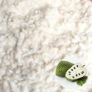 Concentré de corossol congelé, base de fruits tropicaux pour boissons, smoothies, glaces, desserts, ingrédient fourni du Vietnam. - Product Image 1