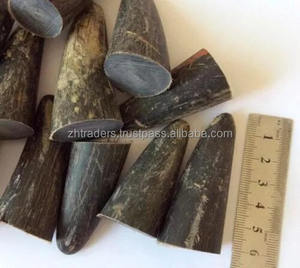 Puntas de cuerno de Búfalo Blanco Natural de la mejor calidad de Azaming DE LA India Estilo animal pulido para exportación Cuerno natural - Product Image 1