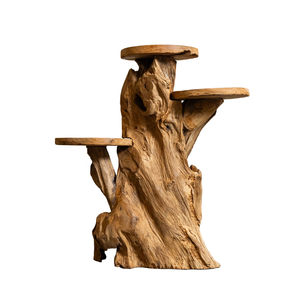ARTERRA Support de présentation en bois massif artisanal rustique en racine de teck biologique de qualité supérieure pour la décoration intérieure/extérieure - Product Image 1