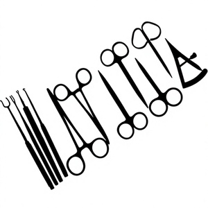 Juego de Instrumentos para Blefaroplastia, Herramientas Quirúrgicas para Cirugía Oftalmológica, Micro Herramientas de Precisión, Herramientas Manuales de Acero Inoxidable - Product Image 2
