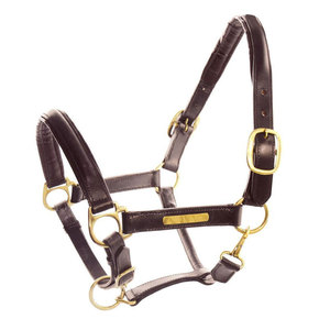Black Woven Horse Halter With Adjustable Straps And Metal Buckles For Equestrian Riding - Product Image 3