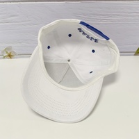 Sport Curved Brim 5 6 Panel 100% algodón personalizado 3D bordado carta logo Gorras papá gorra de béisbol gorras para hombres