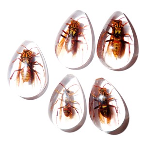 Yellow Paper Wasp Real Specimen Plastic Cabochon Pear Shape Cut <b>Top</b> 33x22 mm Clear Flat Bottom for Crafts and Jewelry Making - Product Image 5