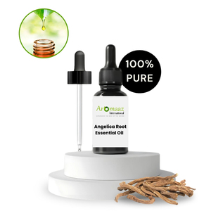 น้ำมันหอมระเหยรากแองเจลิก้าบริสุทธิ์คุณภาพสูงจาก Aromaaz International ได้รับการรับรองจากองค์การอนามัยโลก (WHO) ผลิตจากฝรั่งเศส กลั่นด้วยไอน้ำ - Product Image 1