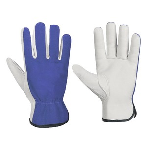 Guantes de Conducción de Diseño Nuevo al por Mayor, Guantes de Conducción Profesionales, Guantes de Conducción Más Vendidos - Product Image 1