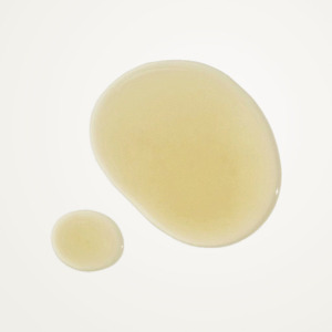 โทนเนอร์บำรุงผิวหน้า KAINE Korean K-Beauty Kombu Balancing Ampoule Toner ชุด 2 ชิ้น ผลิตในเกาหลี สำหรับทุกเพศ - Product Image 2