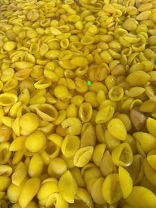 Maracuyá Deshidratado de Alta Calidad – Rico en Vitaminas, Snack Tropical Saludable, Sin Conservantes // Mr.Tom - Product Image 6