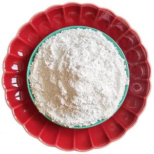 Poudre de carbonate de calcium blanc CaC03 99% pureté D97 10 microns enduit de qualité fournisseur du Vietnam - Product Image 6