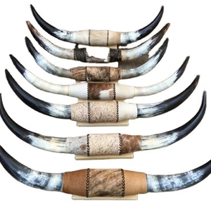 Ensemble de cornes de bœuf montées, écologiques, faites à la main, rustiques, modernes, polies, thème animalier, style western, pour décoration intérieure, Pâques - Product Image 1