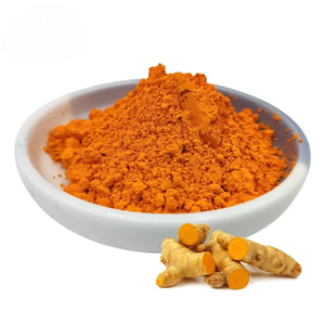 Poudre d'extrait de racine de curcuma pur naturel en vrac (Extrait de curcuma supérieur 95% Curcuminoïdes) pour le soutien immunitaire et articulaire - Product Image 1