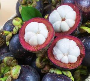 มังคุดเกรดพรีเมียม A สดใหม่ รสหวาน สีม่วง ผลไม้เมืองร้อน สำหรับรับประทานสด ขายปลีกในซูเปอร์มาร์เก็ต ส่งออกเวียดนาม - Product Image 5