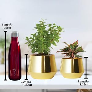 Maceta Moderna de Lujo en Metal Dorado Cromado para Plantas Verdes de Interior - Product Image 4