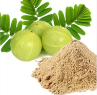 Hoogwaardig puur Amla poeder, natuurlijk gedroogd fruit, kruiden Amla poeder, traditioneel Indiaas rauw Amla poeder voor gebruik in de keuken