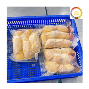 Rodajas de Mango Congeladas IQF |   Procesamiento de Jugos |   Origen Vietnam |   Suministro al por Mayor |   Venta al por mayor - Product Image 1