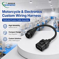Harness Kabel Otomotif Lengkap Khusus untuk Aplikasi Mesin Elektronik Komputer dan Sepeda Motor - Konduktor Tembaga Berlapis Perak