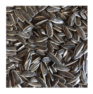 Graines de tournesol en vrac de qualité supérieure, non OGM, pour usage alimentaire - Product Image 1