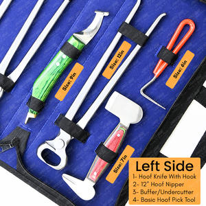 Kit de herramientas Farrier, instrumento veterinario, cortador de apretar, pico, mordaza curva, cubierta de pezuña de cocodrilo y pinza de recorte de dientes alineados - Product Image 4