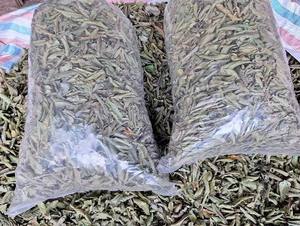 Té de Hoja de Guayaba Natural Premium, Grado Alimenticio, Té Herbal, Fabricante Vietnamita, OEM, Marca Privada, Venta al por Mayor, Secado al Sol, Empaquetado - Product Image 5
