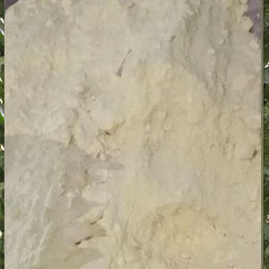 Fertilizante de Azufre Granular Concentrado Dispersable en Agua, Pureza Controlada del 99.9% para Tratamiento de Semillas y Mejora del Suelo, Fabricado por AE - Product Image 2