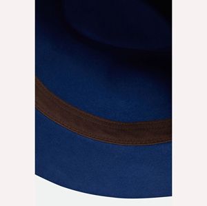 Blue 100% Polyester Fedora <b>Hat</b> Brown Ribbon <b>Band</b> Unisex Casual Wide Brim Hand Embroidery Digital Printing Four Seasons Fashion - Product Image 5