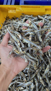 Anchois séchés en vrac pour l'alimentation animale et l'industrie alimentaire - Fournisseur - Product Image 3