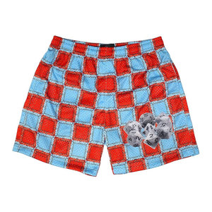 Shorts de sport personnalisés de haute qualité avec logo par sublimation, shorts de fitness en mesh pour hommes, shorts décontractés avec poche, shorts en mesh - Product Image 1