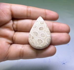 Cabochons de corail fossile naturel, cristaux minéraux polis, pierres précieuses de haute qualité, formes variées, matériaux en vrac pour la fabrication de bijoux - Product Image 1