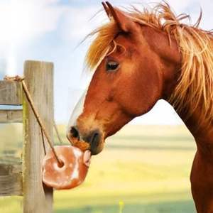 Bloque Mineral de Sal Rosa y Gris para Animales, para el Crecimiento, la Fortaleza Ósea, el Rendimiento Lácteo y la Salud General del Ganado - Product Image 5