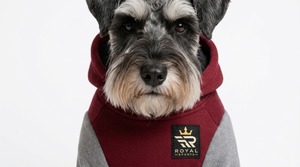 Sweat-shirts pour chiens de qualité supérieure avec tissu doux, coupe élégante, respirant, confortable et chaud pour les promenades quotidiennes, les jeux et les aventures en plein air - Product Image 4