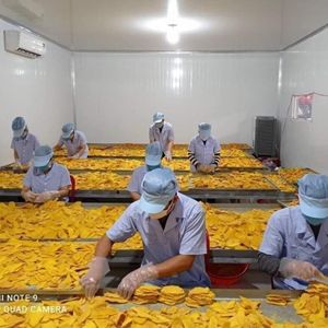 Mangues séchées douces du Vietnam, collation saine et sucrée, de 100g à 10kg, prêtes à consommer, en vrac - Product Image 2