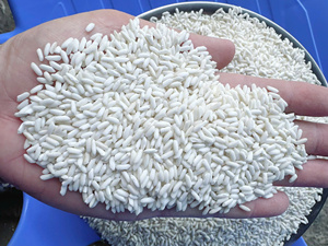 ข้าวเวียดนามเมล็ดยาว เนื้อแข็ง ข้าวหัก 5% ข้าวแห้ง ไม่ใช่พืช GMO ข้าวหอมมะลิ IIglobal บรรจุภัณฑ์แบบกำหนดเอง ขายส่ง - Product Image 6