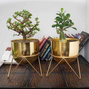 Lot de pots de fleurs en métal doré de style nordique pour bureau, avec support en fil de fer, pour plantes d'intérieur, bonsaïs et succulentes - Product Image 1