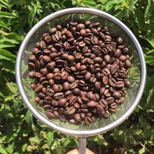 Café de Primera Calidad de Vietnam, Robusta Orgánica Tostada y Molido, Certificación USDA Orgánica, 0.1% de Granos Negros y Partidos, Exportación Directa - Product Image 2