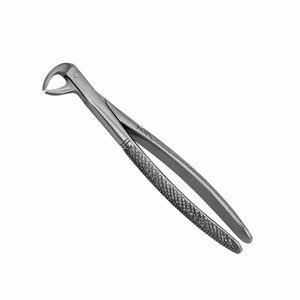 Forceps d'extraction 162C pour enfants, forceps chirurgical pour l'extraction dentaire, instrument d'extraction dentaire pour usage pédiatrique - Product Image 5