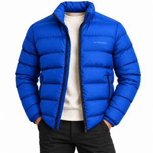 Nouvelle veste d'hiver matelassée pour homme, design tendance, col montant, pull décoré, veste rembourrée en duvet - Product Image 2