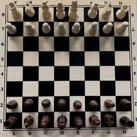 Boîte de rangement Domino, ensemble de voyage portable en bois et résine, jeu traditionnel écologique, jeu familial classique de stratégie, multi-pièces pour l'intérieur
