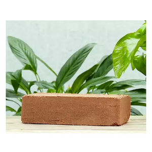 Coco Peat en Bloque de 5 kg, el Más Vendido, Fibra de Coco, Turba de Coco, Cocopeat - Product Image 3