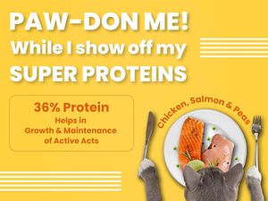 อาหารแมวแห้งโปรตีนสูง สูตรธรรมชาติ โภชนาการครบถ้วน สมดุล ดีต่อระบบย่อยอาหาร เสริมสร้างภูมิคุ้มกัน สำหรับแมวโต แบรนด์ส่วนตัว - Product Image 5